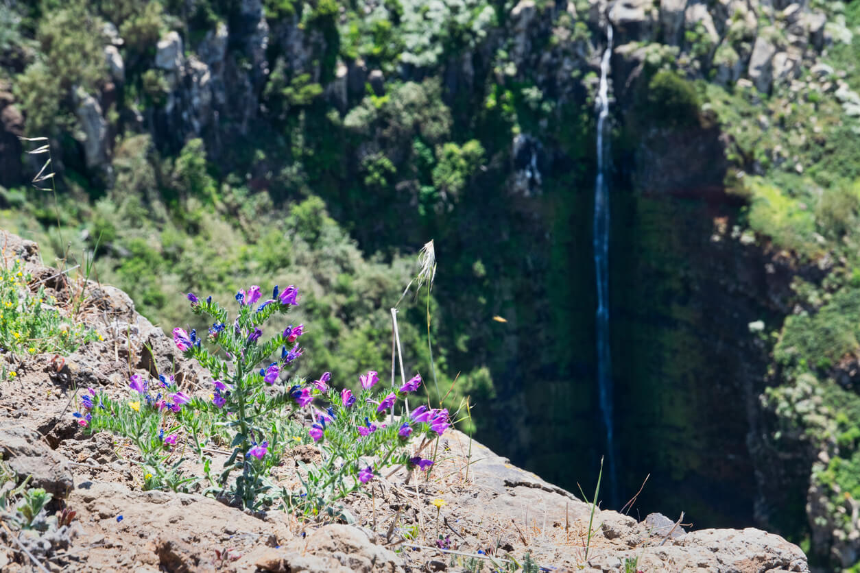 Marcher jusqu’à la cascade Garganta Funda