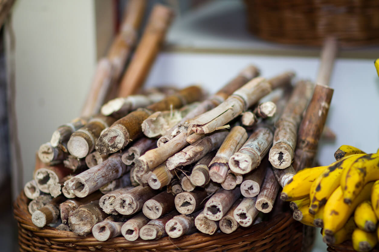 Visiter le musée de la canne à sucre de Calheta