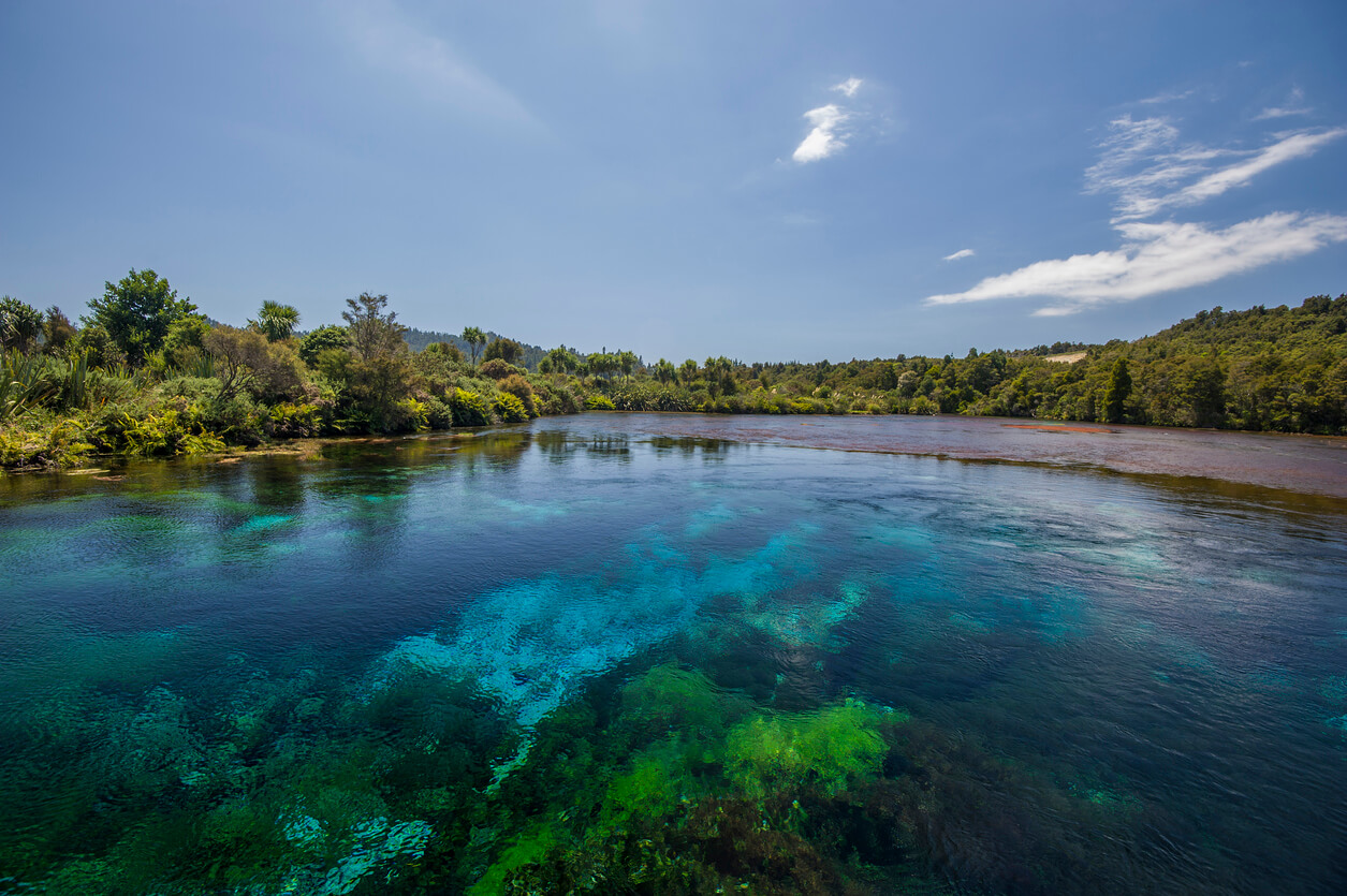 Te Waikoropupu Springs