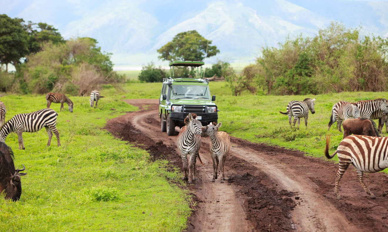La zone de conservation du Ngorongoro