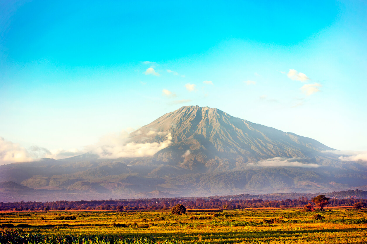 Le parc national d'Arusha