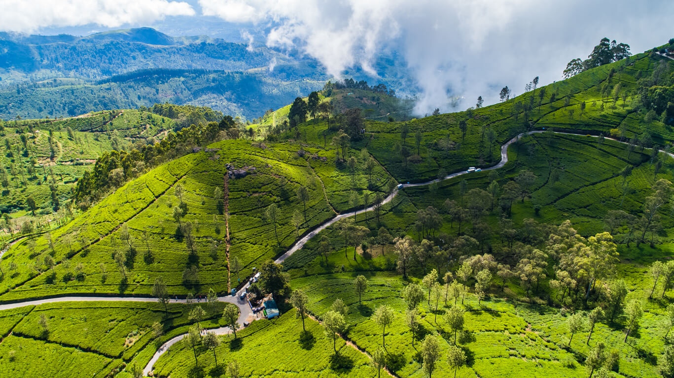 conseil voyage sri lanka