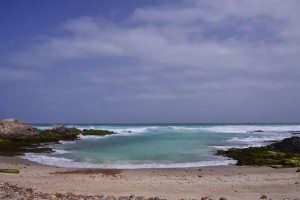 archipel de Socotra : 