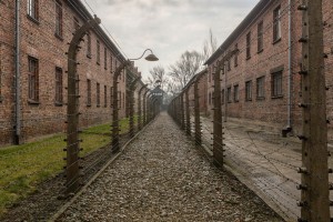 Auschwitz (Oświęcim) : 