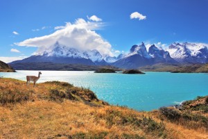 Chili : Lac Pehoe, parc national Torres del Paine dans le sud du Chili