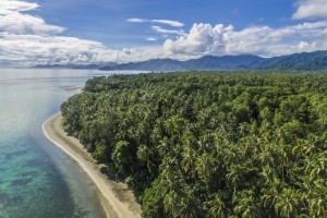 îles Salomon : La côte nord-est de l’île de Choiseul, îles Salomon