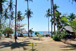 Koh Tonsay (Rabbit Island) : 