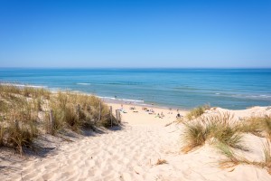 Lacanau : La dune et la plage de Lacanau