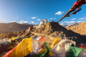 Ladakh : Namgyal Tsemo Gompa à Leh, Ladakh