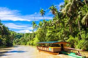 Loboc : Croisière sur la rivière Loboc, Bohol