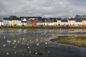 Galway : Galway