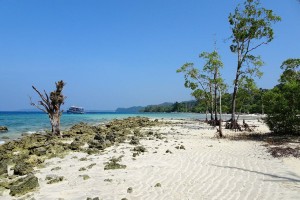 Andaman du centre (Rangat) : Les îles Andaman
