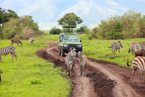 aire de conservation du Ngorongoro : La zone de conservation du Ngorongoro