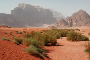 Wadi Rum : 