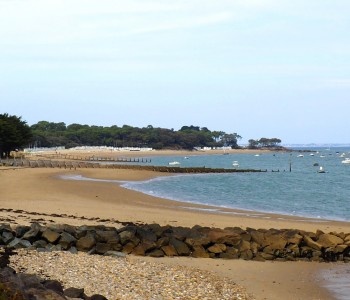 L'Île de Noirmoutier (Vendée)
