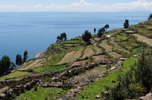 Juliaca (lac Titicaca)