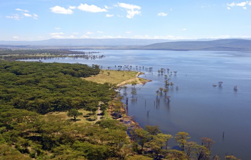 Kenya : Lac Nakuru au Kenya