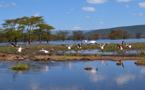 Lake Nakuru National Park
