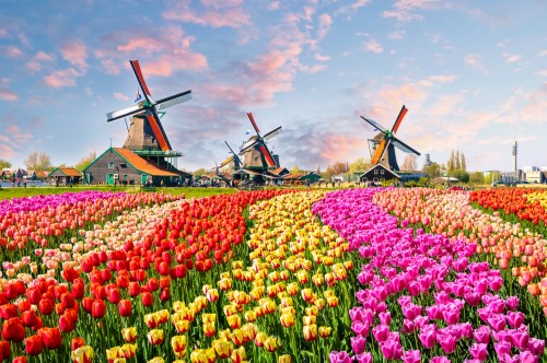 Pays-Bas : Des moulins à vent traditionnels hollandais à Zaanstad