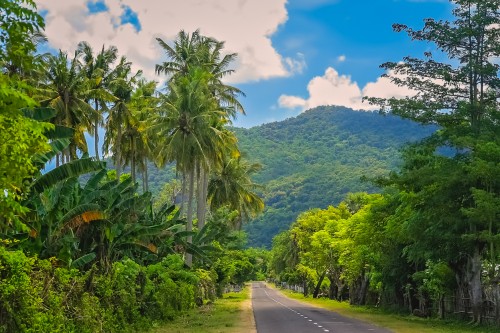 Sumbawa : Route à travers de la Jungle de Sumbawa