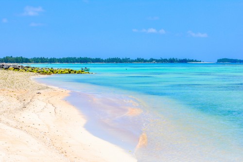 Tuvalu : Plage paradisaque des Tuvalu