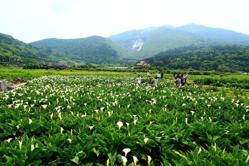 Parc national de Yangmingshan