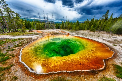 Yellowstone N.P. (Wyoming)