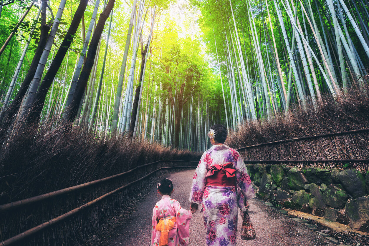 La Bamboo Forrest de Kyoto