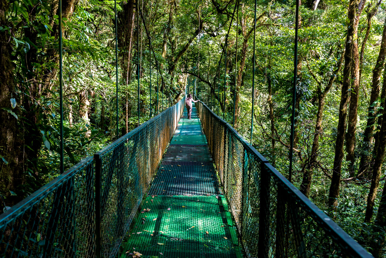 Pont suspendu à Monteverde