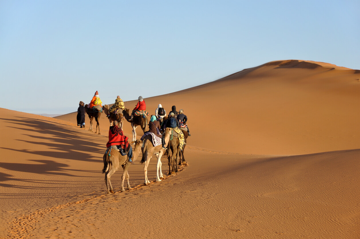 à dos de chameau dans le désert au Maroc