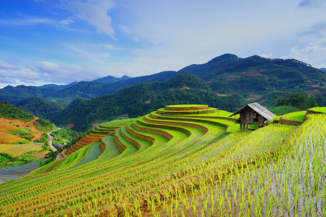 Les rizières à Sapa dans la région Nord du Vietnam