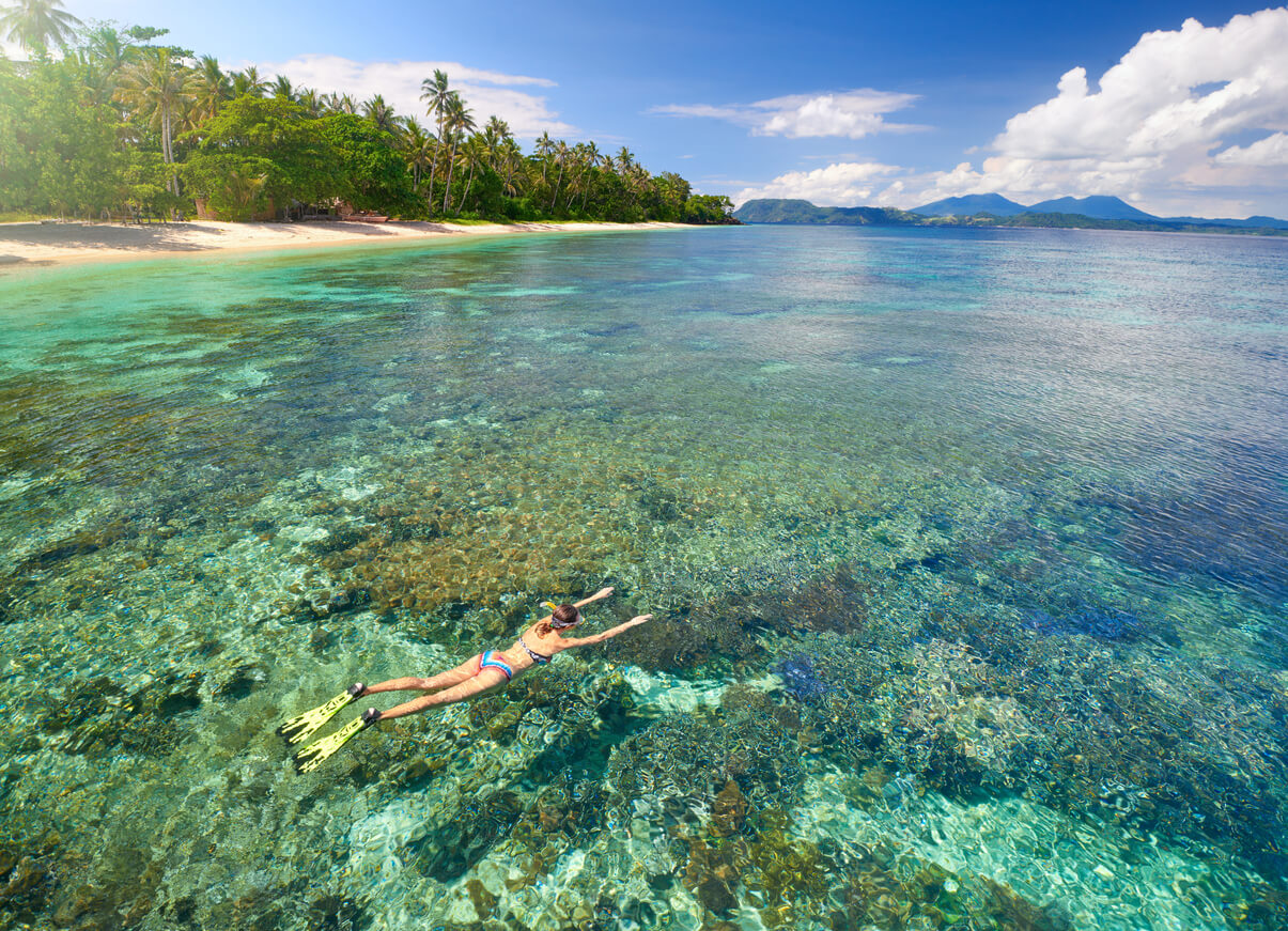 Le parc national marin de Bunaken sur l'île de Sulawesi